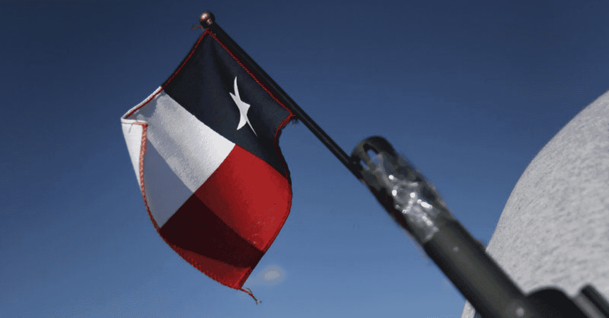 Miller: Non-Texans Need To Shut Up About Guns In Texas