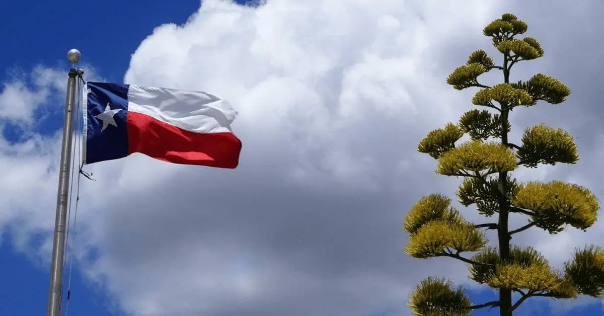 Independence Day or Fourth of July – The Truth About What You Are Celebrating