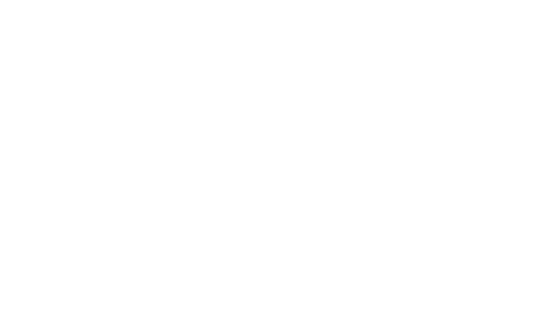 dallas-morning-news