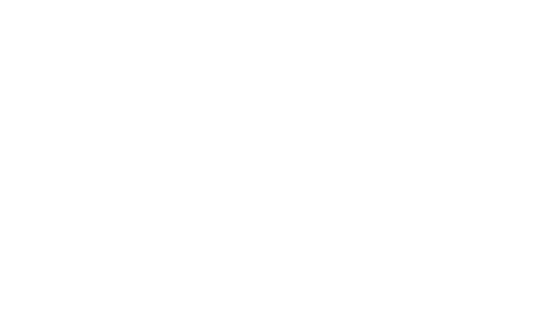 the-guardian