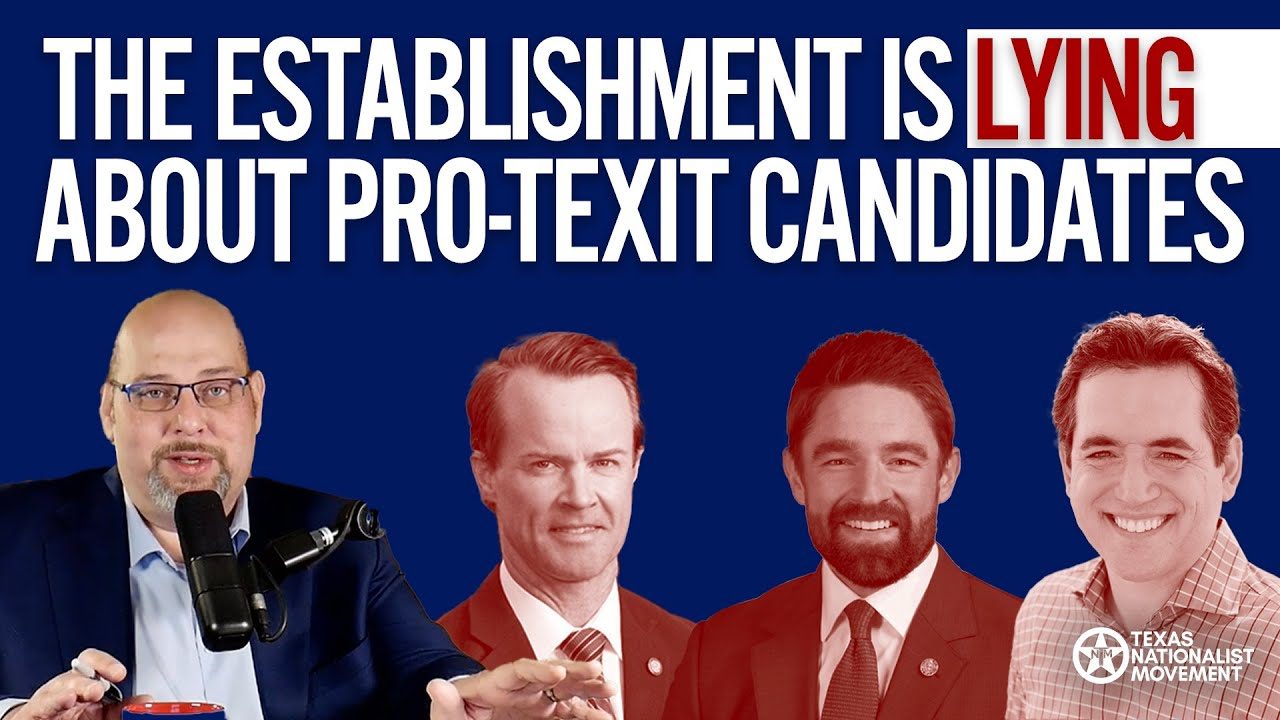 The Establishment is LYING About Pro-TEXIT Candidates